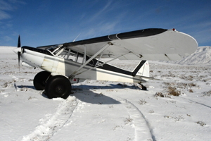 Super Cub